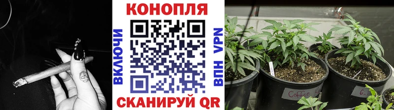 Конопля SATIVA & INDICA  Малоархангельск 